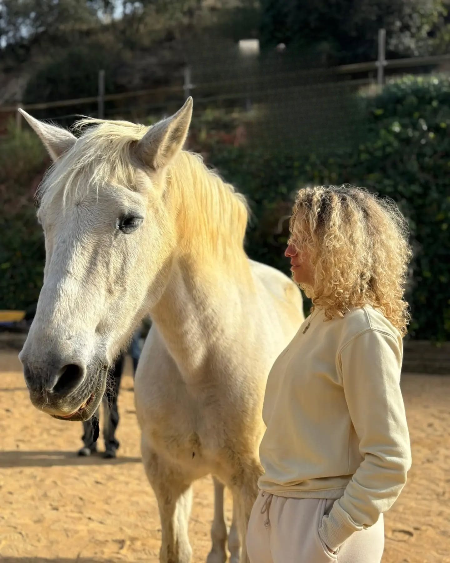 imagen nosotros horseway
